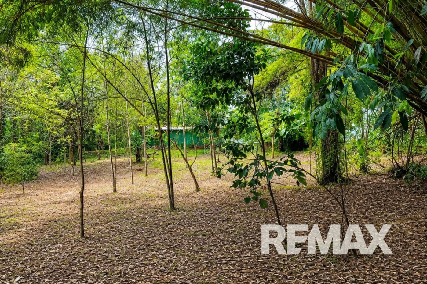 HOME FOR SALE IN LLANO AZUL, UPALA, COSTA RICA, photo 22