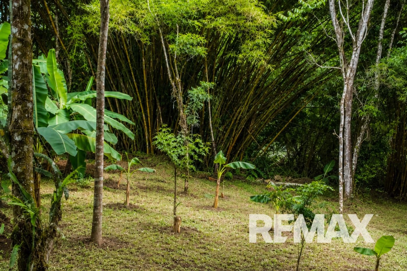 HOME FOR SALE IN LLANO AZUL, UPALA, COSTA RICA, photo 25