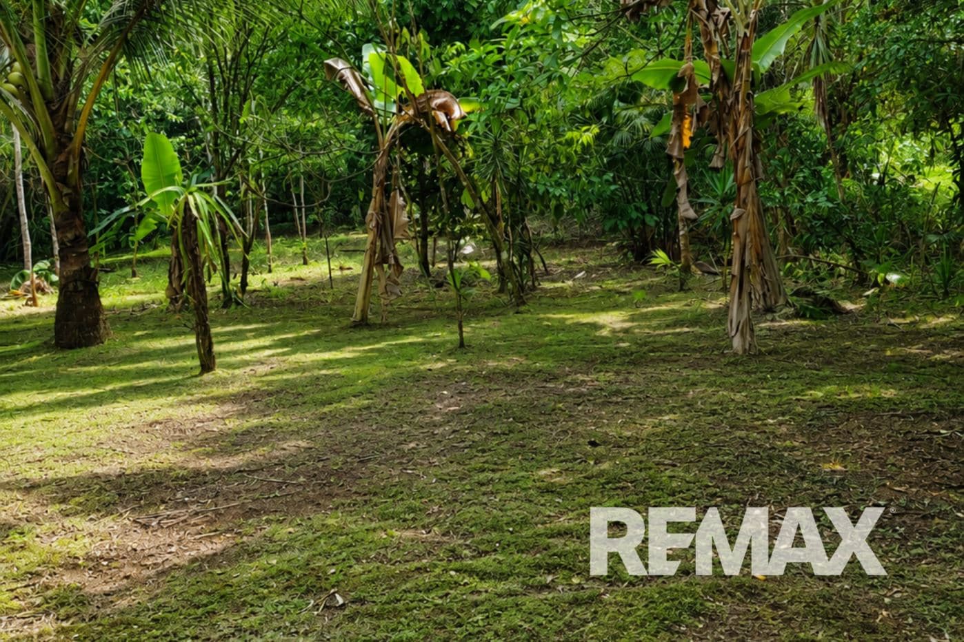 HOME FOR SALE IN LLANO AZUL, UPALA, COSTA RICA, photo 26