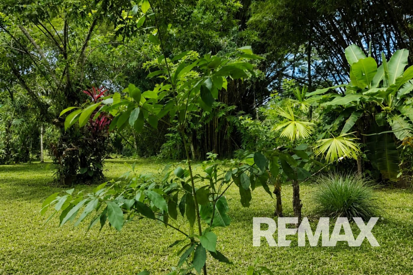 HOME FOR SALE IN LLANO AZUL, UPALA, COSTA RICA, photo 24