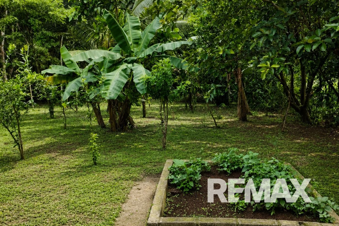 HOME FOR SALE IN LLANO AZUL, UPALA, COSTA RICA, photo 28
