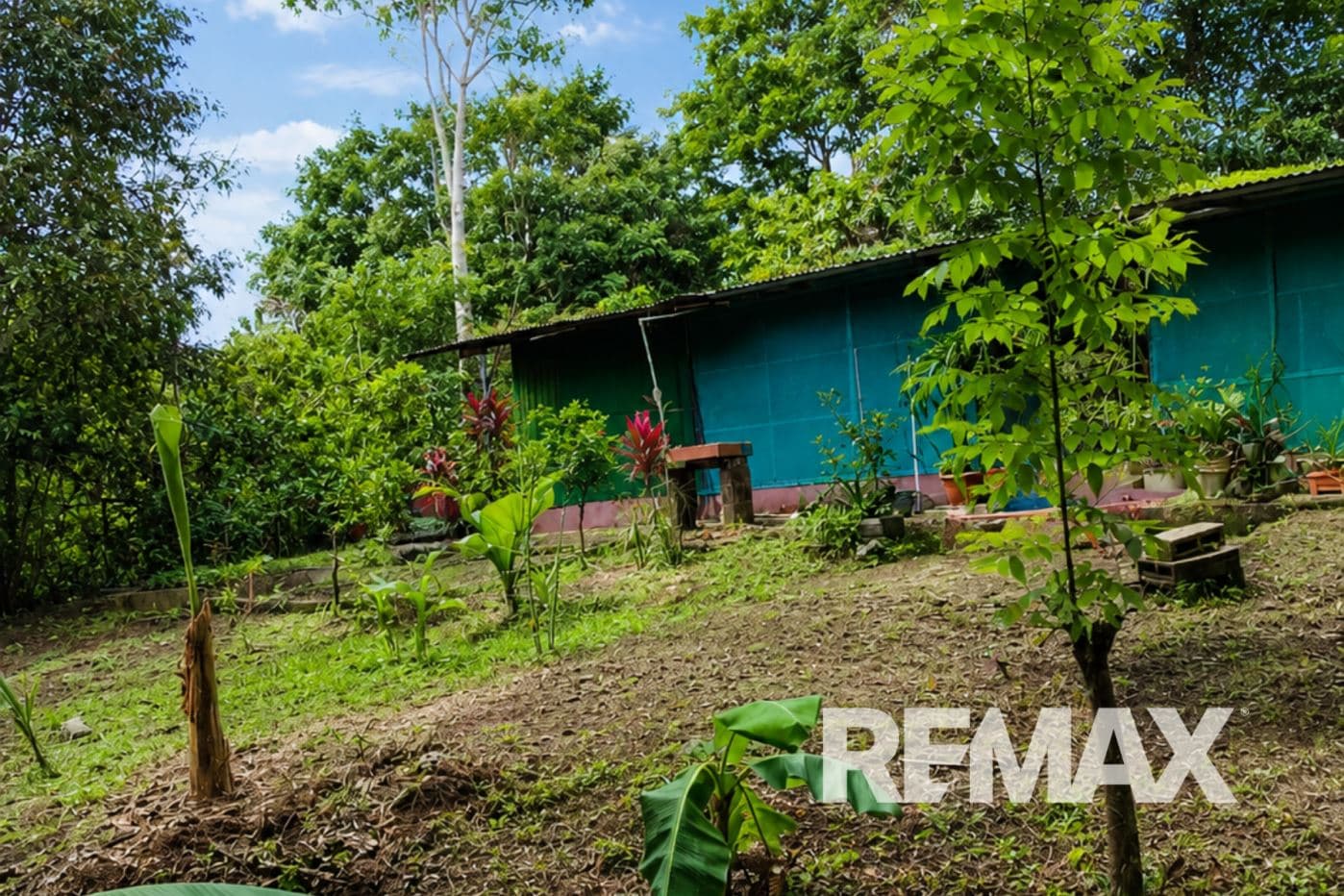 HOME FOR SALE IN LLANO AZUL, UPALA, COSTA RICA, photo 3