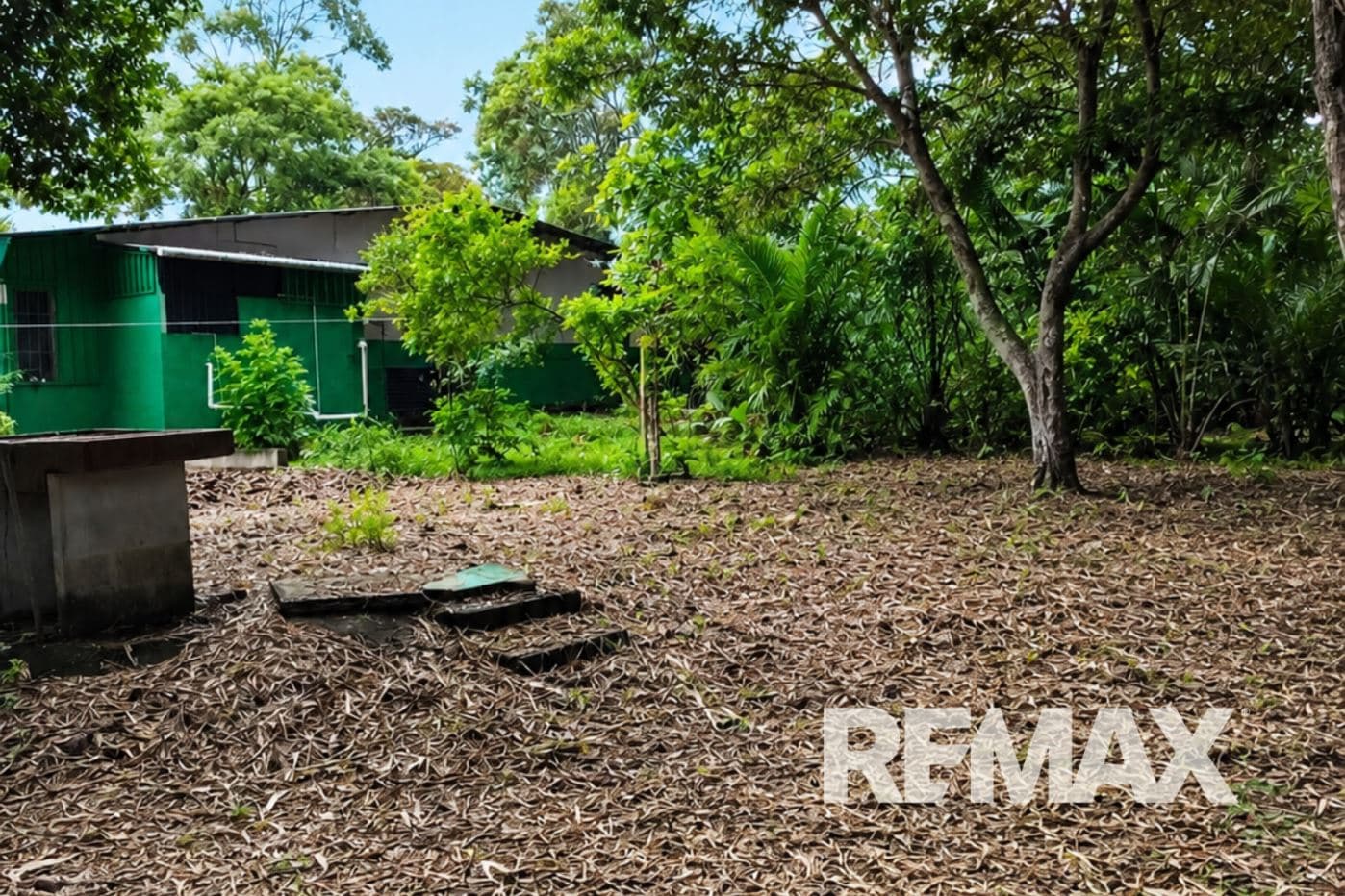 HOME FOR SALE IN LLANO AZUL, UPALA, COSTA RICA, photo 4