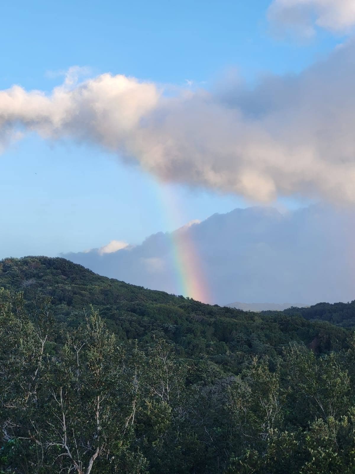 VOLCANIA ESTATE — Villa & Highland Parcel, photo 15