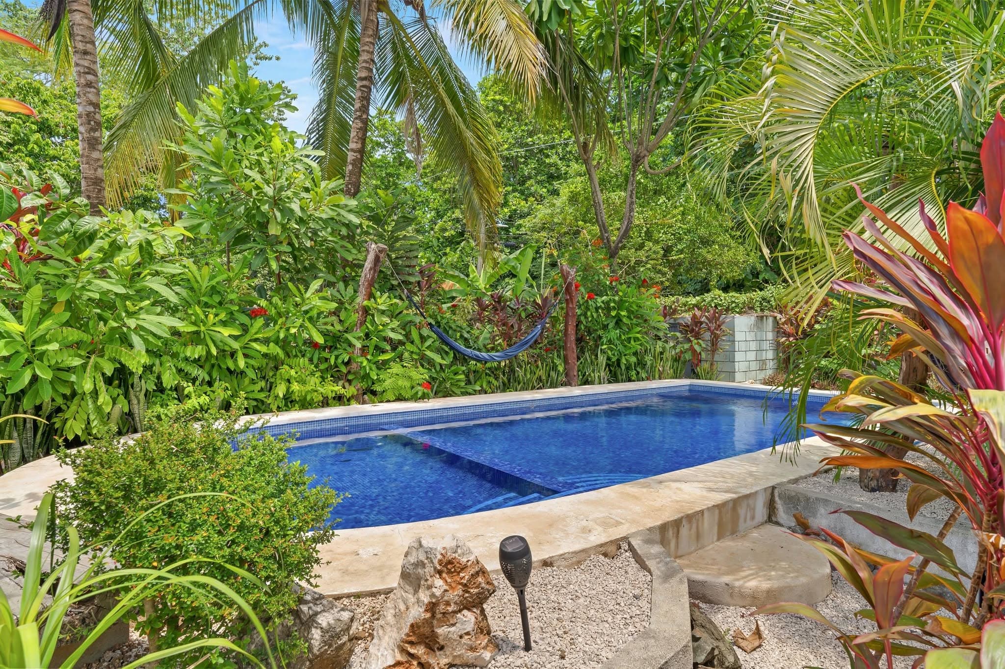6 Unit Casada Opportunity - Pineapples!!, photo 13