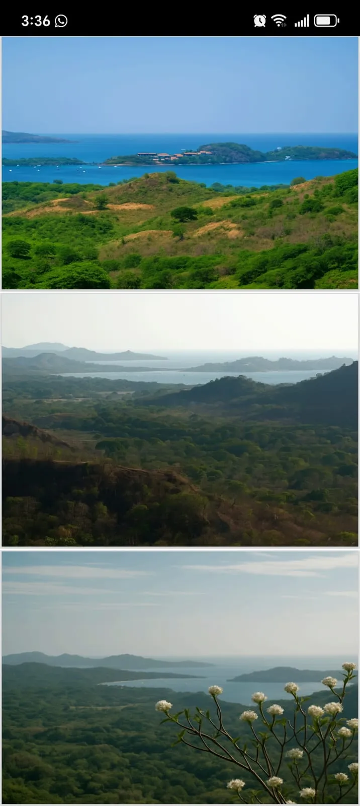 Numu on the Monkey Trail | 46.5-Acre Development Site Near Flamingo, Costa Rica, photo 10