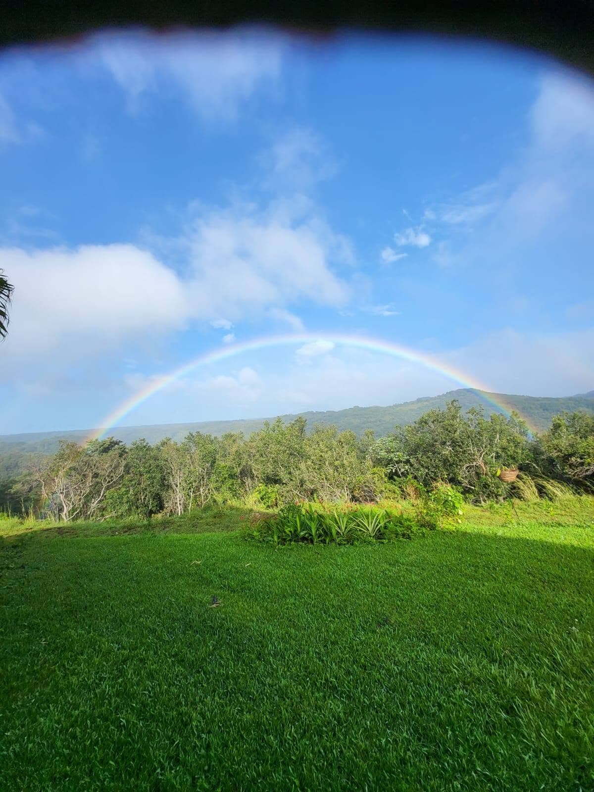 VOLCANIA ESTATE — Villa & Highland Parcel, photo 6
