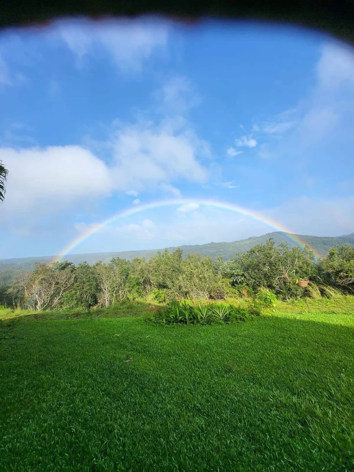 VOLCANIA ESTATE — Villa & Highland Parcel, photo 6