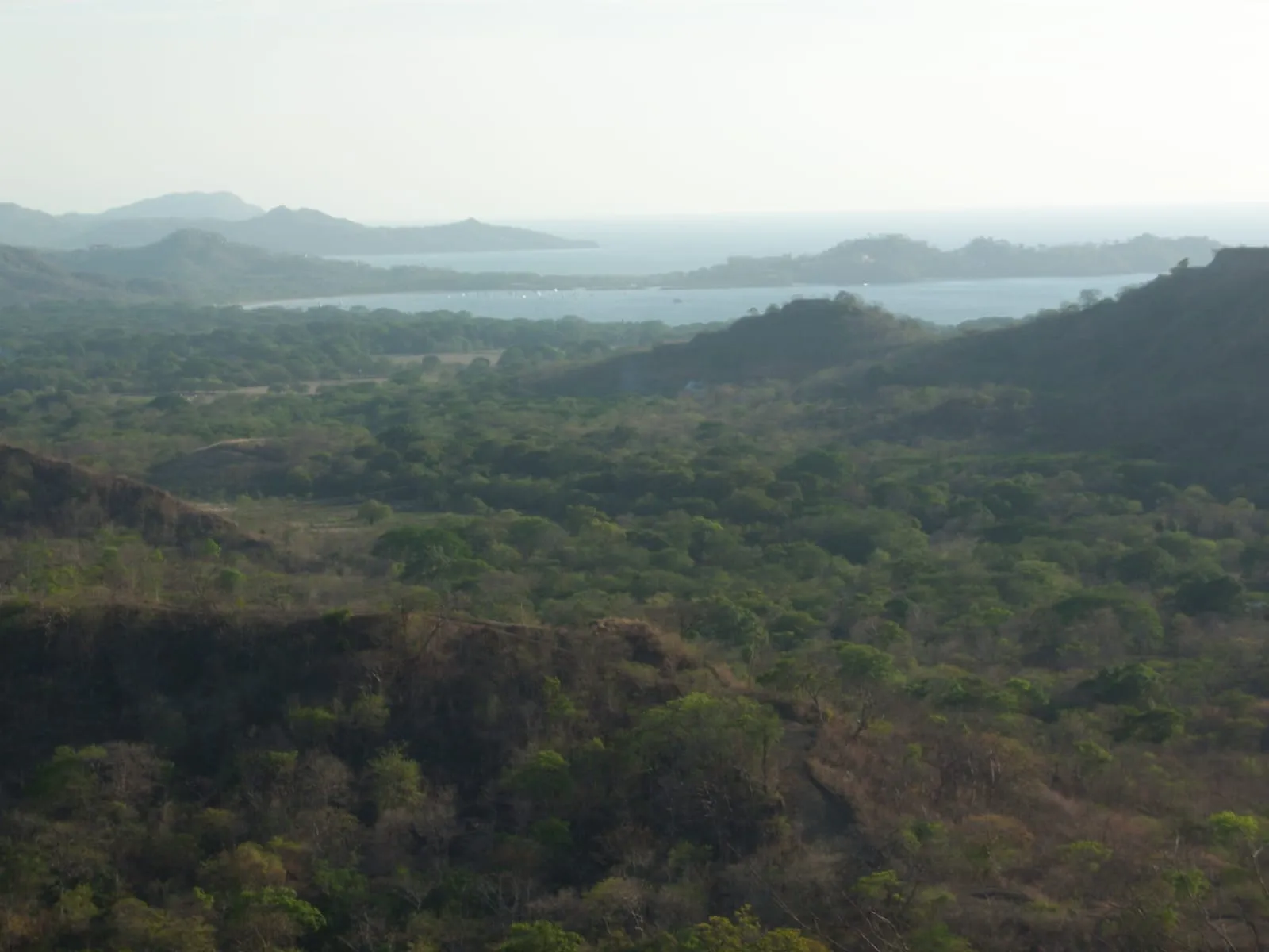 Numu on the Monkey Trail | 46.5-Acre Development Site Near Flamingo, Costa Rica, photo 7