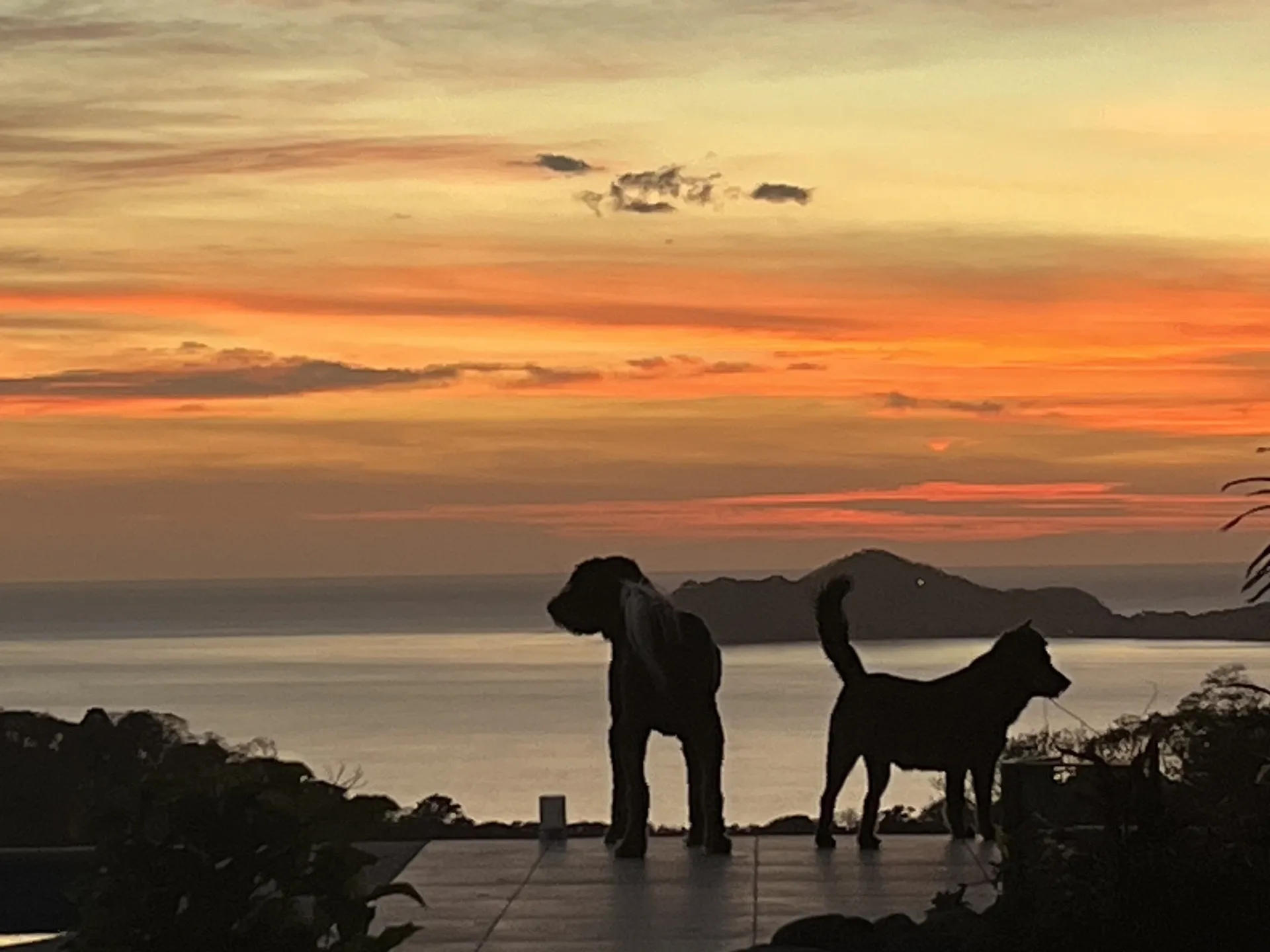 Exclusive unparalleled estate in Playa Panama, photo 50