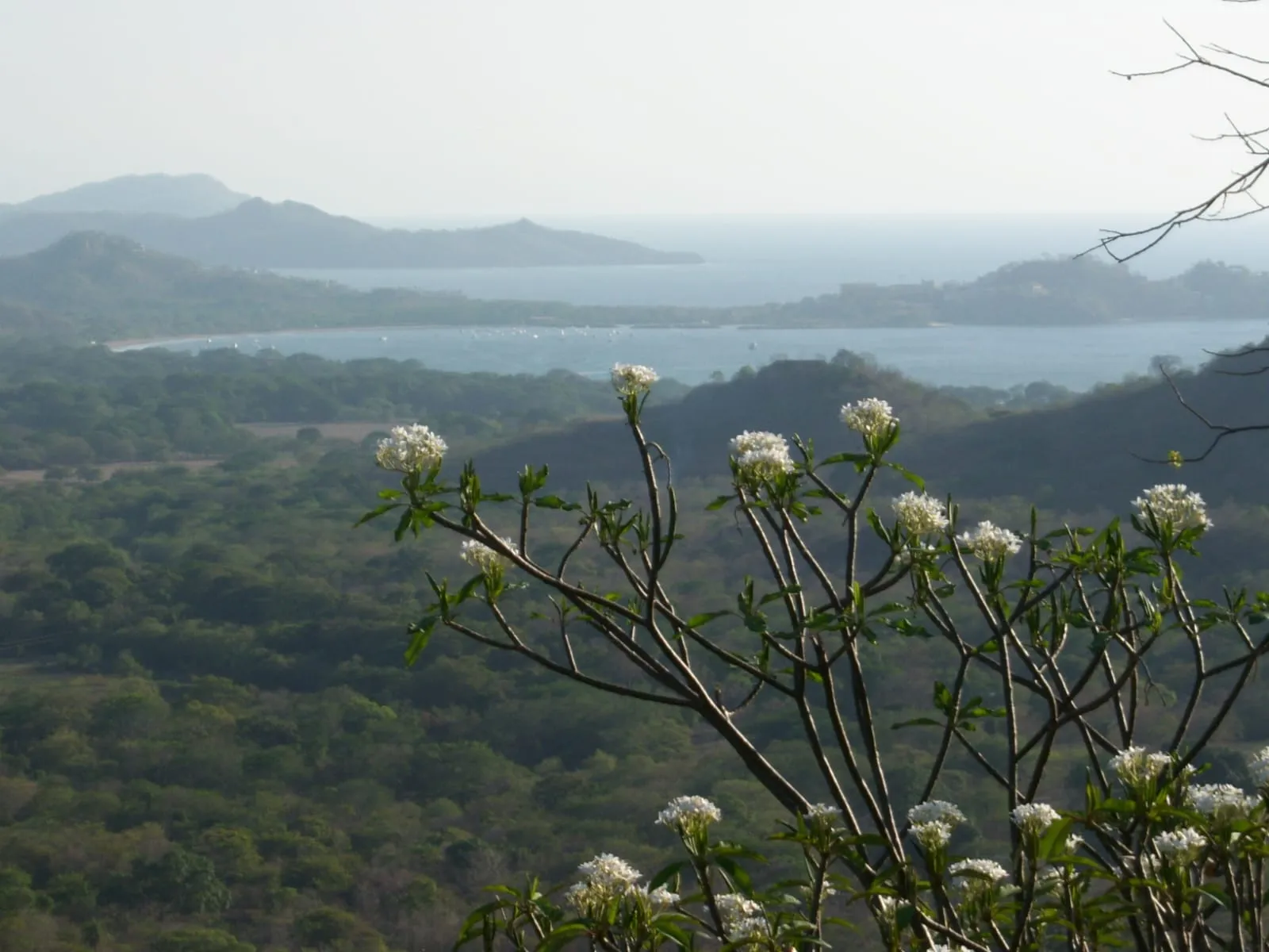Numu on the Monkey Trail | 46.5-Acre Development Site Near Flamingo, Costa Rica, photo 17