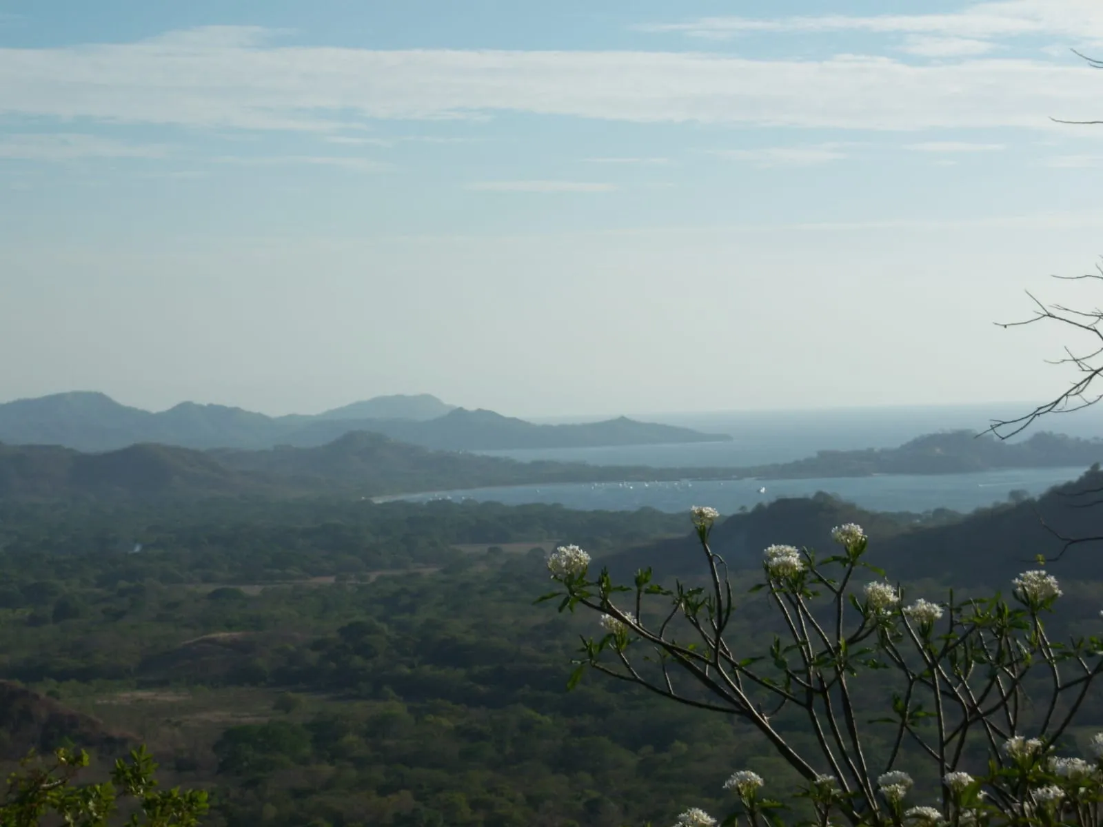 Numu on the Monkey Trail | 46.5-Acre Development Site Near Flamingo, Costa Rica, photo 12