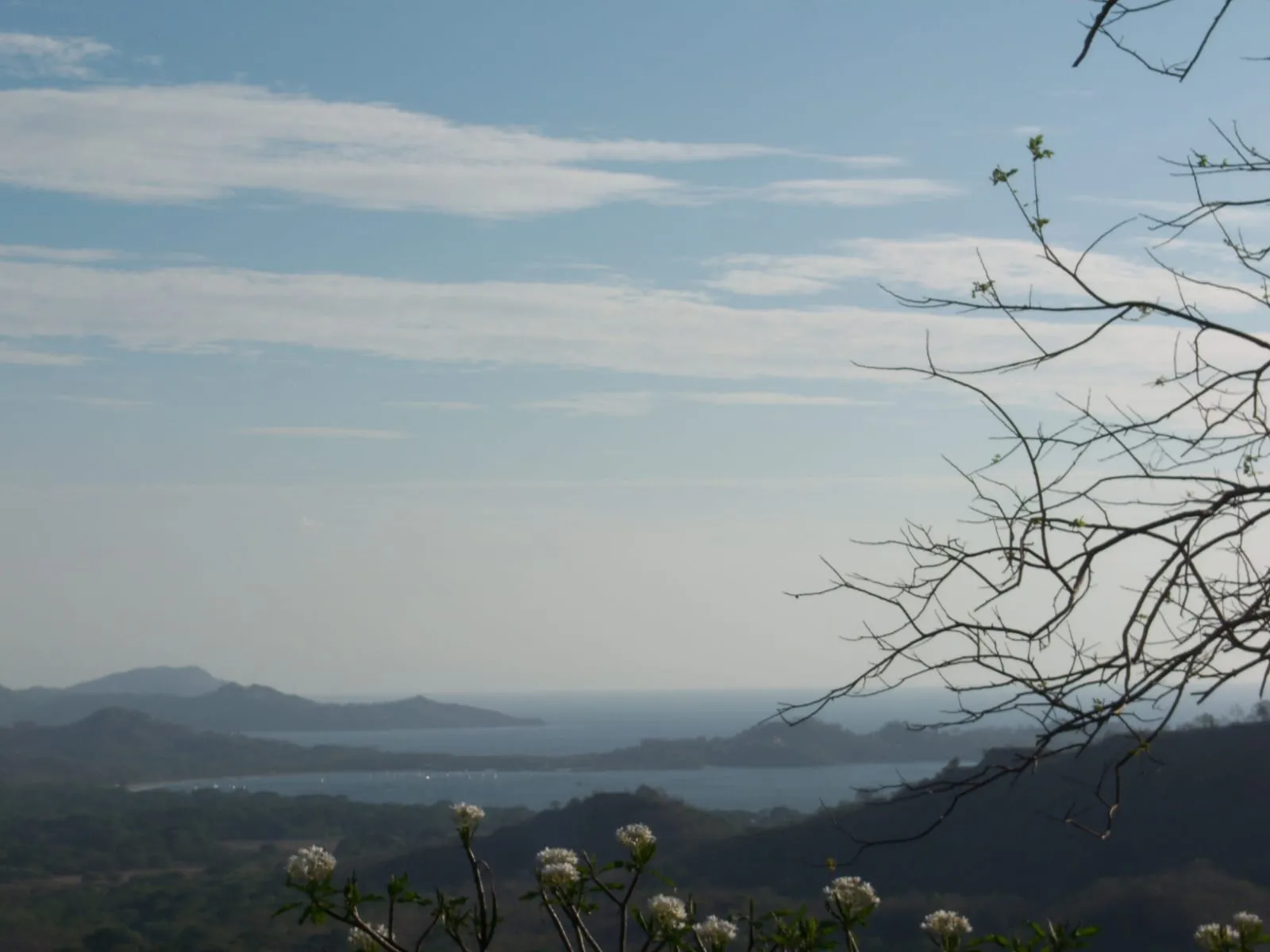 Numu on the Monkey Trail | 46.5-Acre Development Site Near Flamingo, Costa Rica, photo 6
