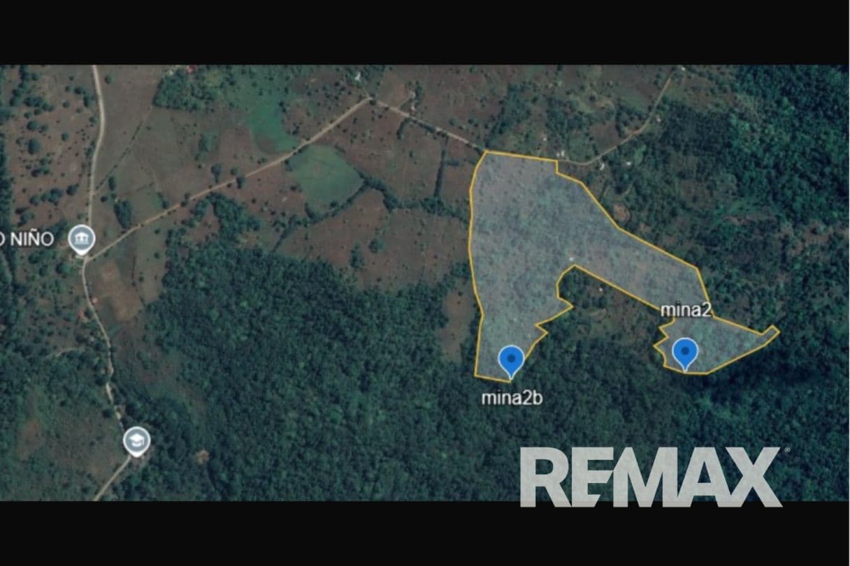 Turnkey Cacao Farm for Sale in Northern Costa Rica 71 Acres, photo 5