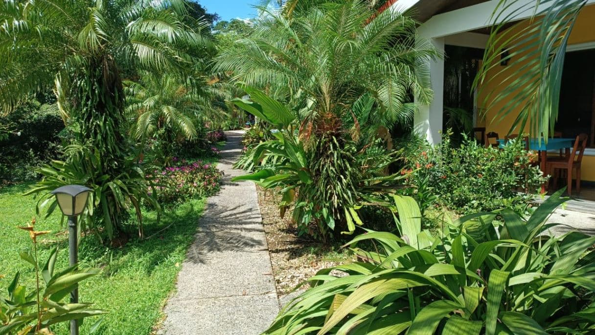 Cozy Condos on Lake Arenal Under $100k - STR Invest or "Home away from Home" in Guanacaste Costa Rica, photo 11