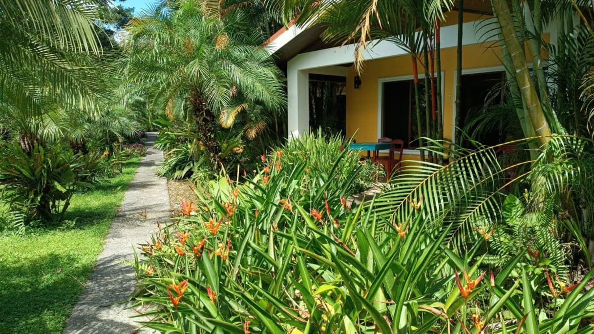 Cozy Condos on Lake Arenal Under $100k - STR Invest or "Home away from Home" in Guanacaste Costa Rica, photo 13