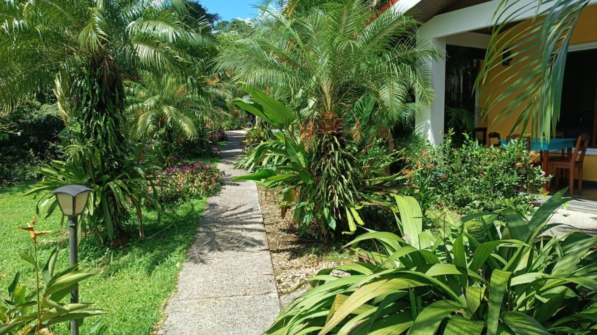 Cozy Condos on Lake Arenal Under $100k - STR Invest or "Home away from Home" in Guanacaste Costa Rica, photo 14