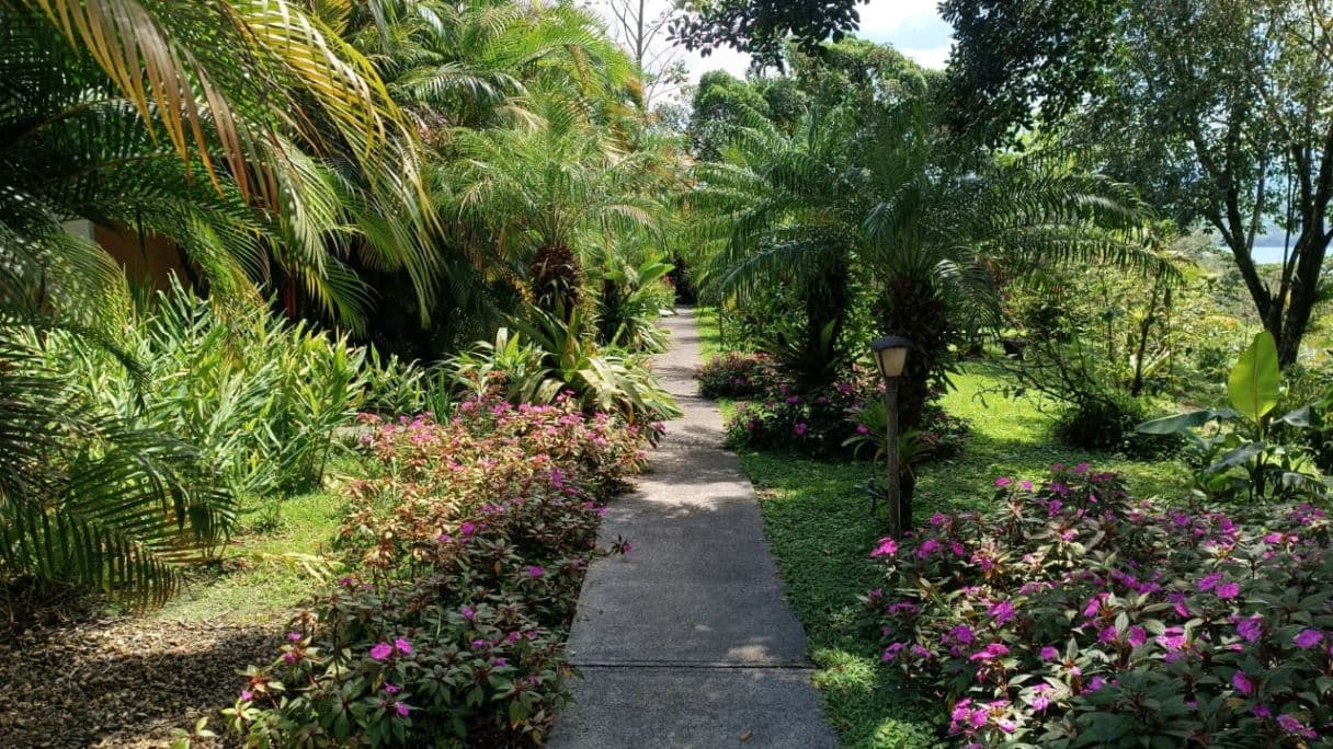 Cozy Condos on Lake Arenal Under $100k - STR Invest or "Home away from Home" in Guanacaste Costa Rica, photo 5