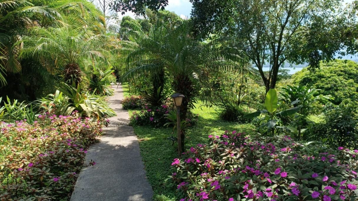 Cozy Condos on Lake Arenal Under $100k - STR Invest or "Home away from Home" in Guanacaste Costa Rica, photo 7