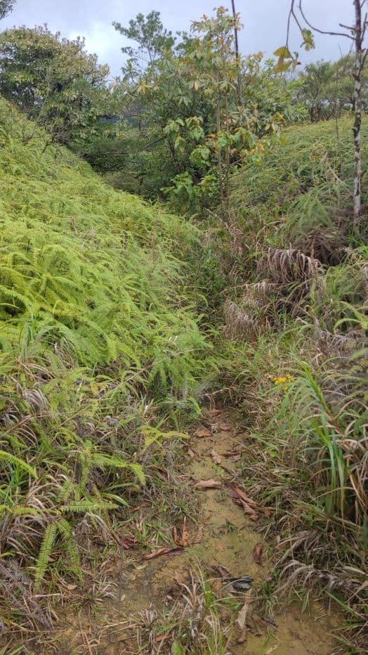 Preserve land in protected area Costa Rica, photo 12