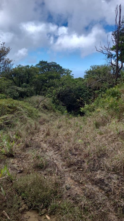 Preserve land in protected area Costa Rica, photo 9