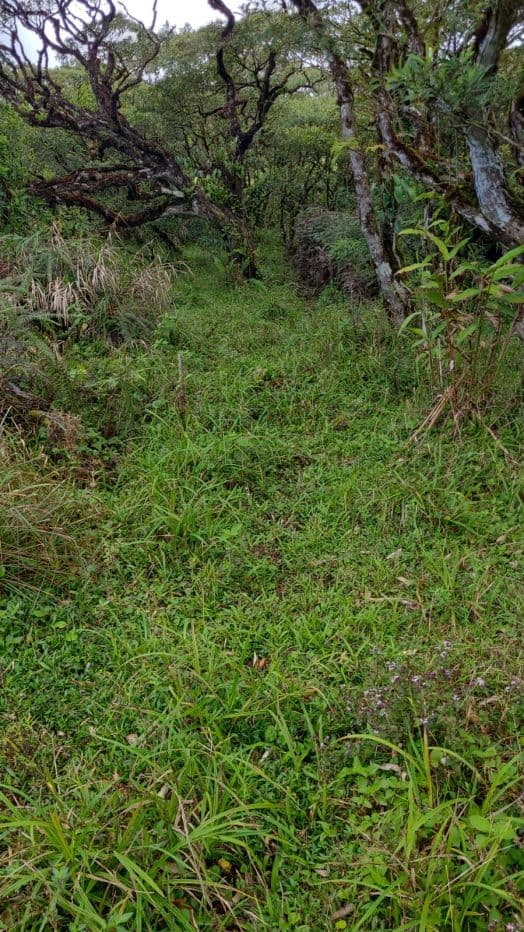Preserve land in protected area Costa Rica, photo 13