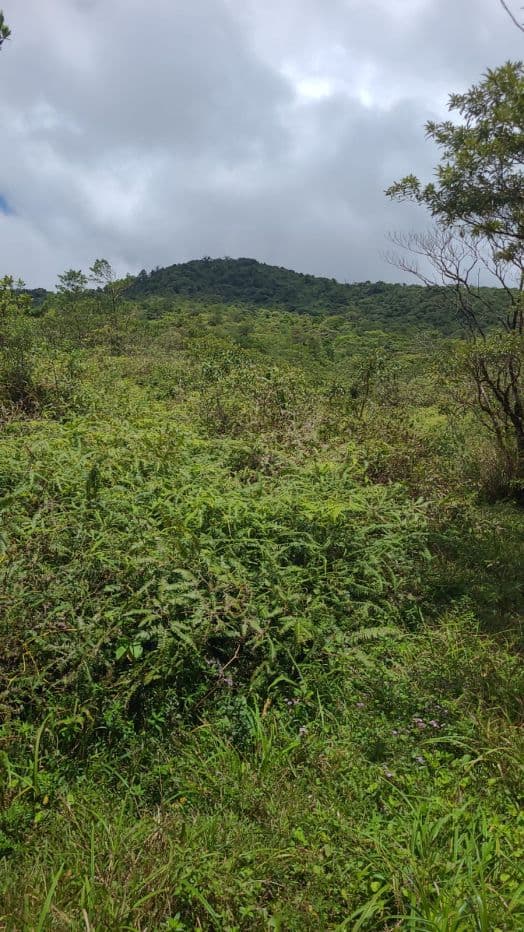 Preserve land in protected area Costa Rica, photo 7