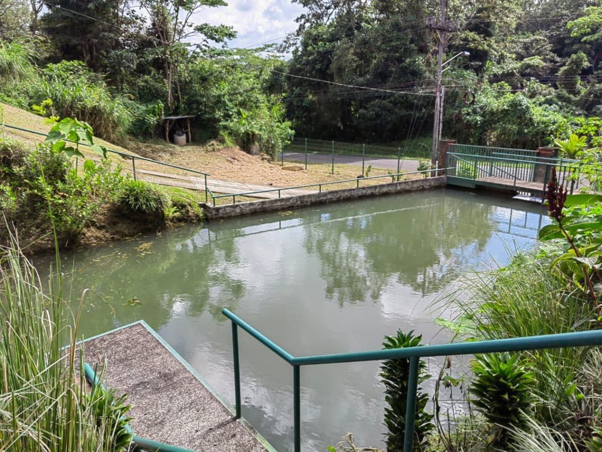 Building lot in Nuevo Arenal, photo 5