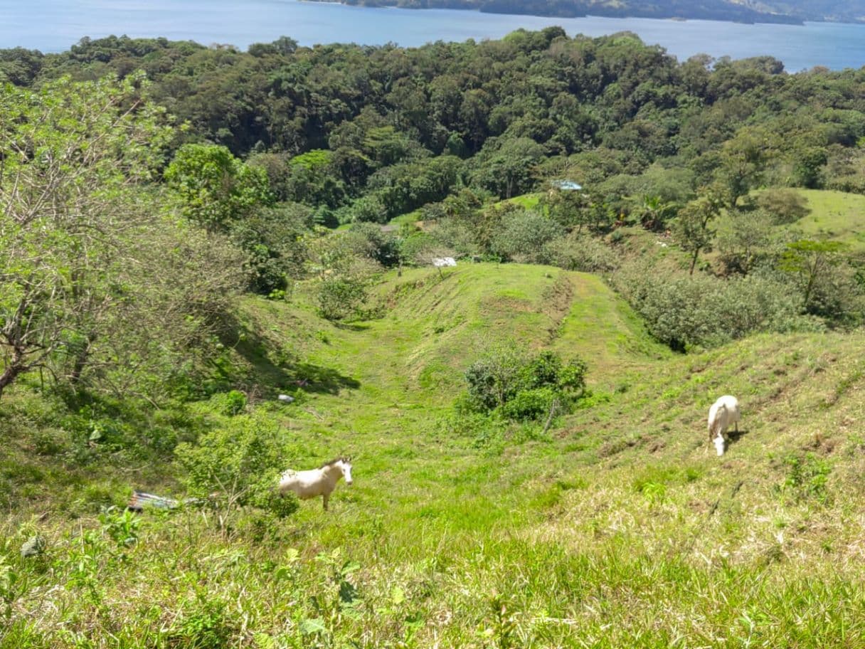 Building lot in Nuevo Arenal, photo 2
