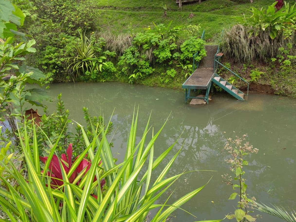 Building lot in Nuevo Arenal, photo 7
