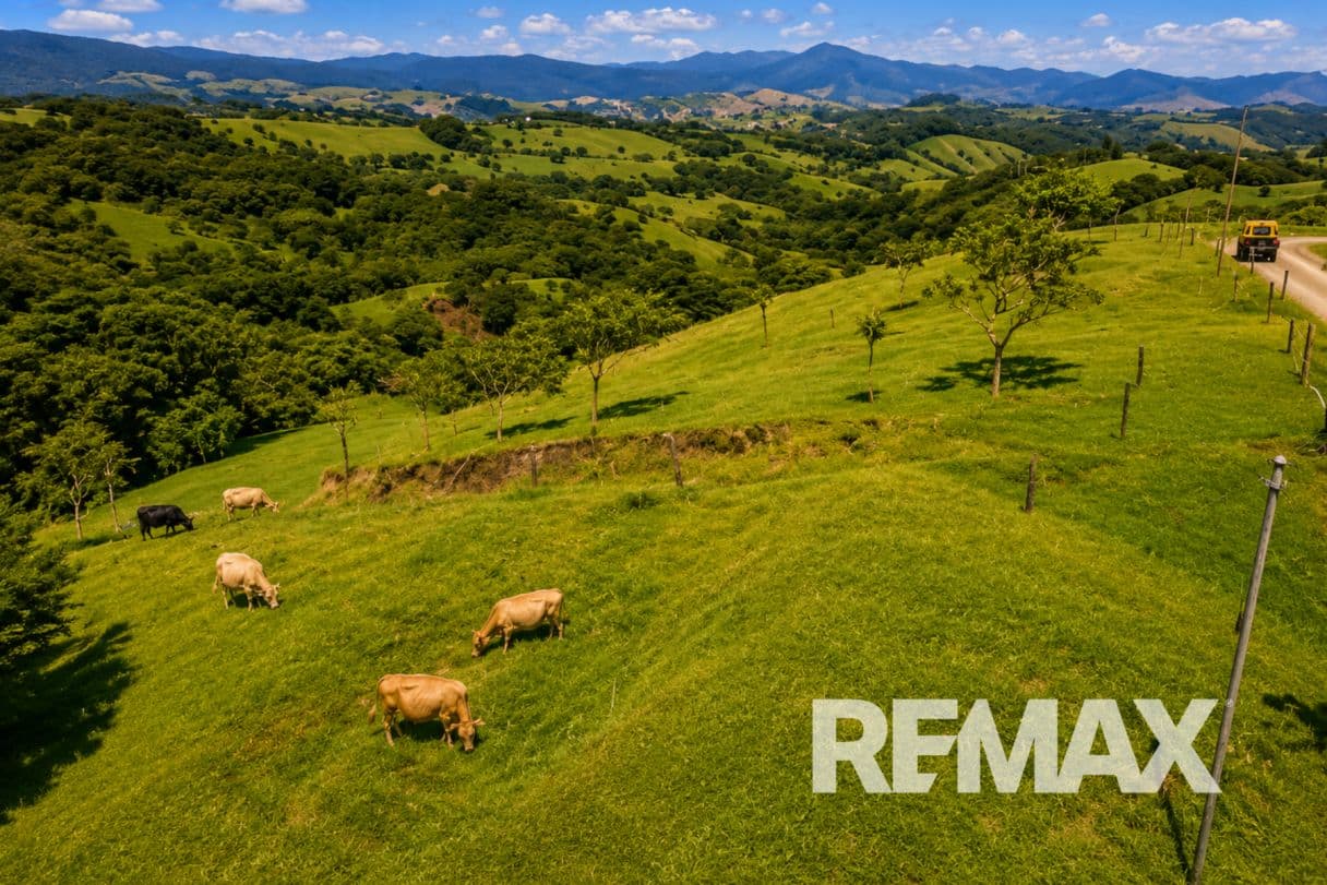 Cattle ranch near Lake Arenal