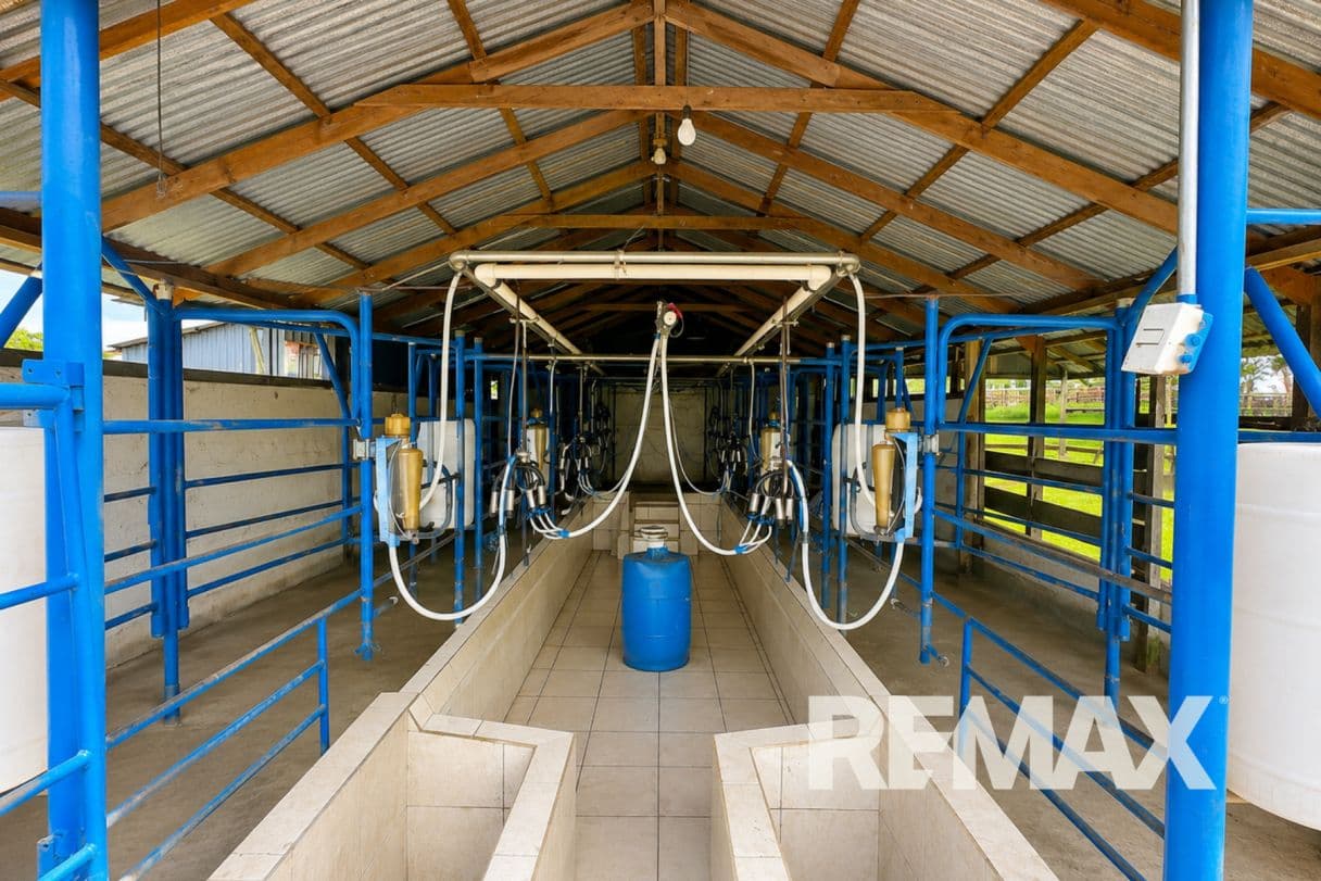 Cattle ranch near Lake Arenal, photo 17