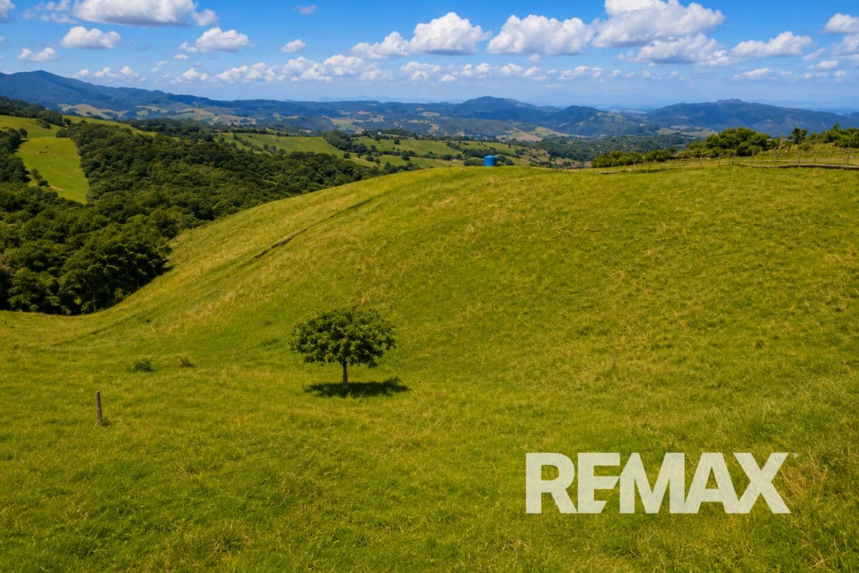 Cattle ranch near Lake Arenal, photo 21