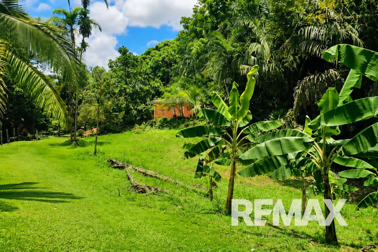 Riverfront Property with Expansion Potential Near La Fortuna – 2,918 m² + Additional 2,000 m² Usage Rights