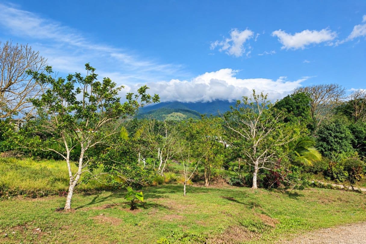 Prime Highway Front Investment Property for Sale in Ciudad Quesada | Commercial & Residential Development Land, photo 4