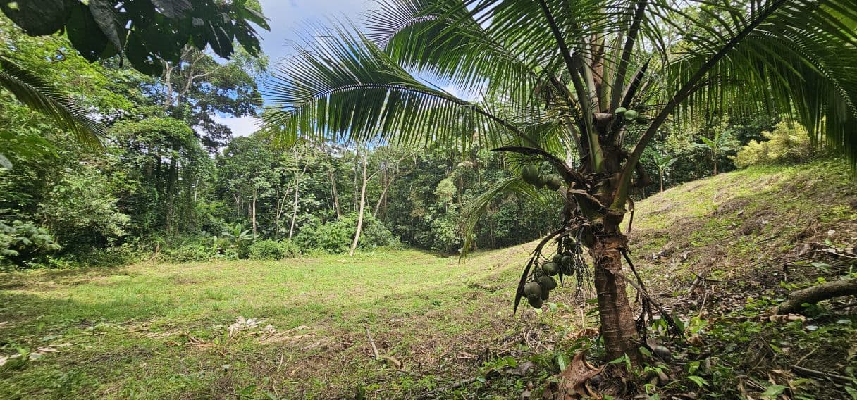 8,000 m² Riverfront Property in La Tigra | Home, Pool, Cabina & Business Potential, photo 27