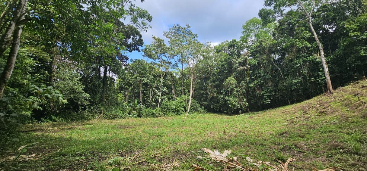 8,000 m² Riverfront Property in La Tigra | Home, Pool, Cabina & Business Potential, photo 28
