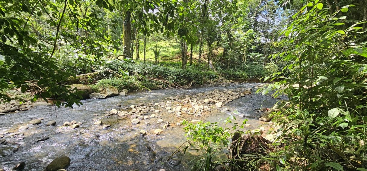 8,000 m² Riverfront Property in La Tigra | Home, Pool, Cabina & Business Potential, photo 32