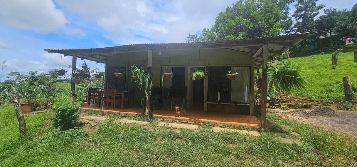 13,000 m² Finca with River, Tilapia Pond & Farm Infrastructure – Peñas Blancas