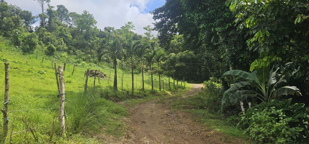 13,000 m² Finca with River, Tilapia Pond & Farm Infrastructure – Peñas Blancas, photo 17
