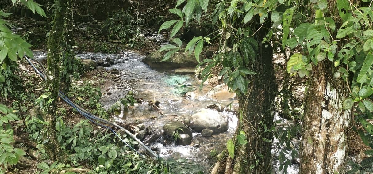 13,000 m² Finca with River, Tilapia Pond & Farm Infrastructure – Peñas Blancas, photo 2