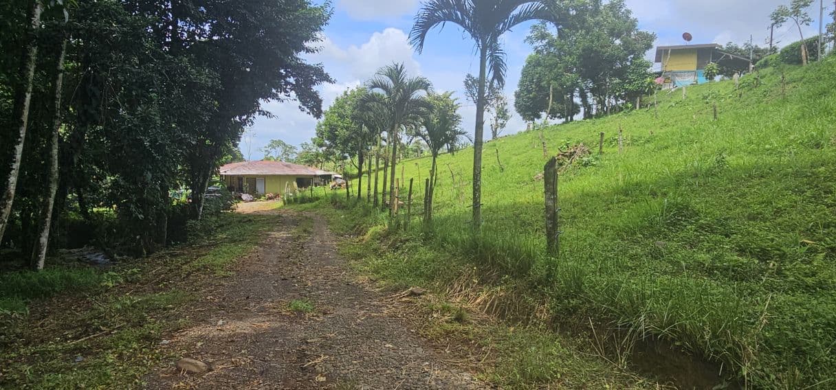 13,000 m² Finca with River, Tilapia Pond & Farm Infrastructure – Peñas Blancas, photo 10