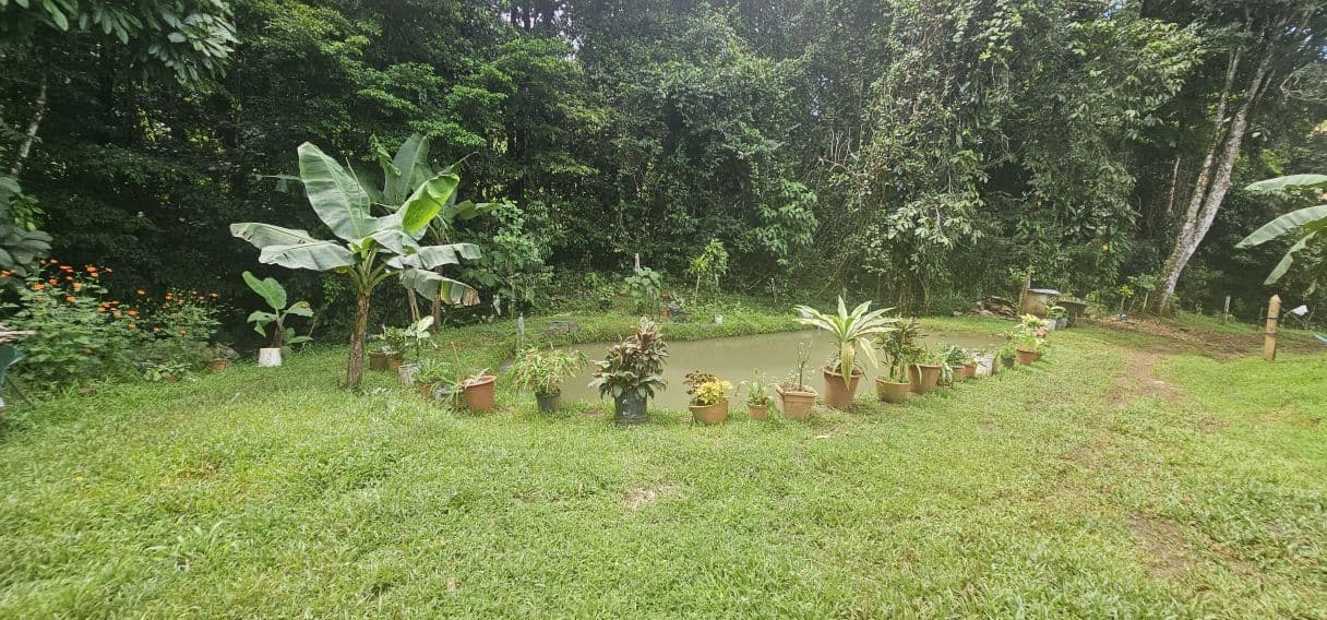 13,000 m² Finca with River, Tilapia Pond & Farm Infrastructure – Peñas Blancas, photo 12