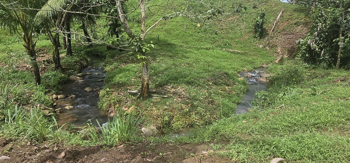 13,000 m² Finca with River, Tilapia Pond & Farm Infrastructure – Peñas Blancas, photo 14