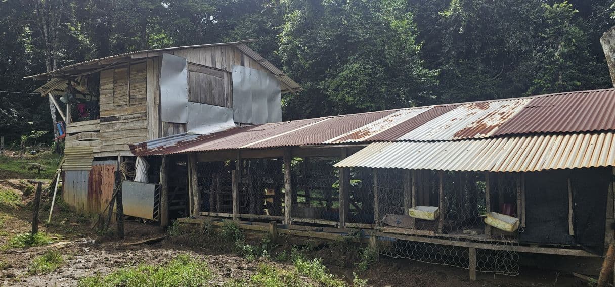 13,000 m² Finca with River, Tilapia Pond & Farm Infrastructure – Peñas Blancas, photo 13