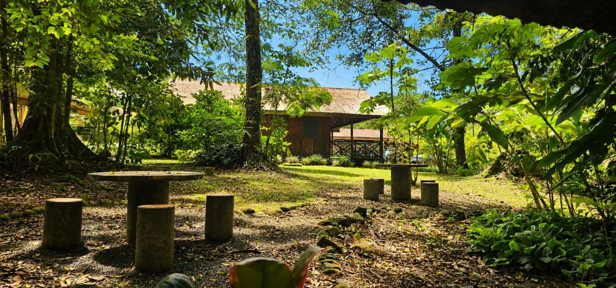 Beautiful Retreat with Rental Potential for sale in Agua Zarcas, photo 14