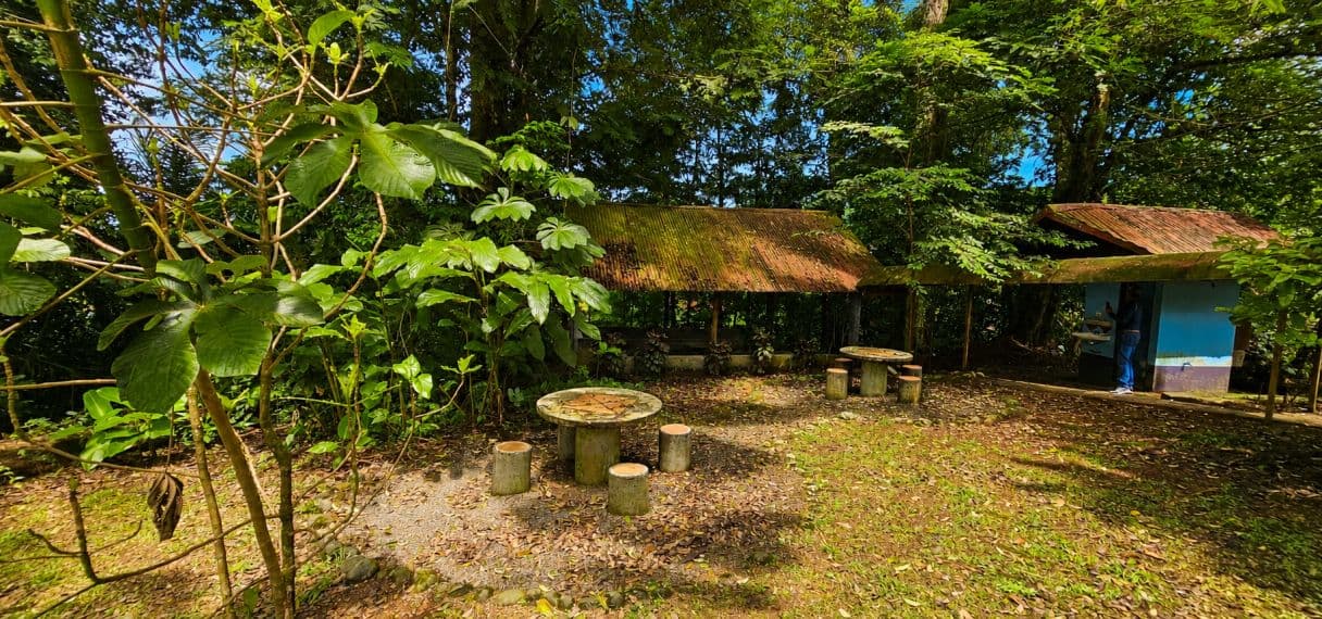 Beautiful Retreat with Rental Potential for sale in Agua Zarcas, photo 15