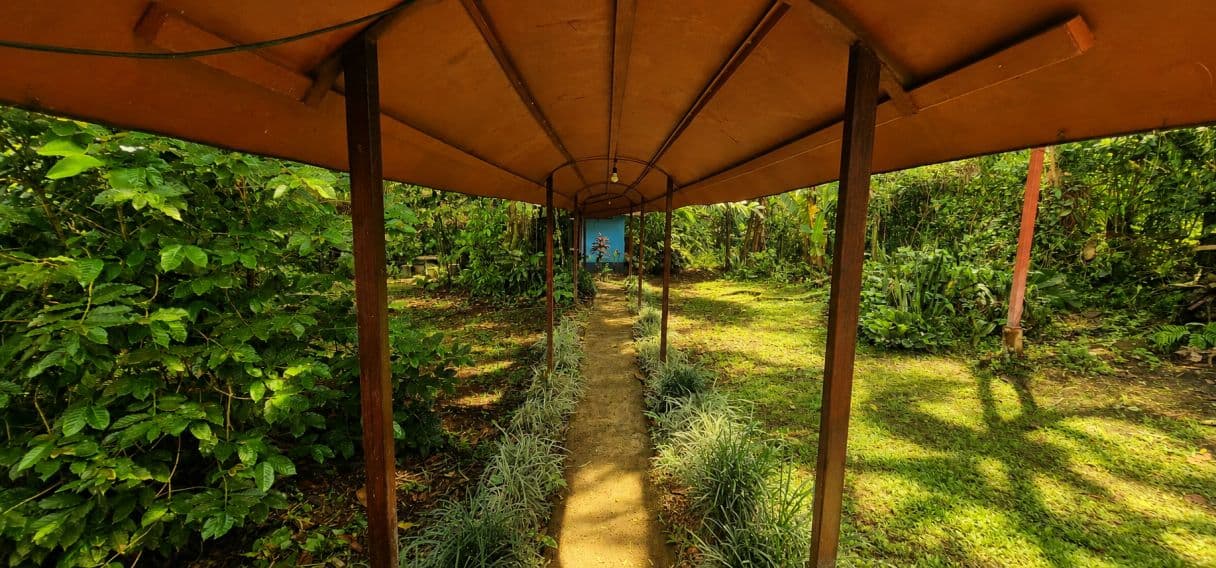 Beautiful Retreat with Rental Potential for sale in Agua Zarcas, photo 19