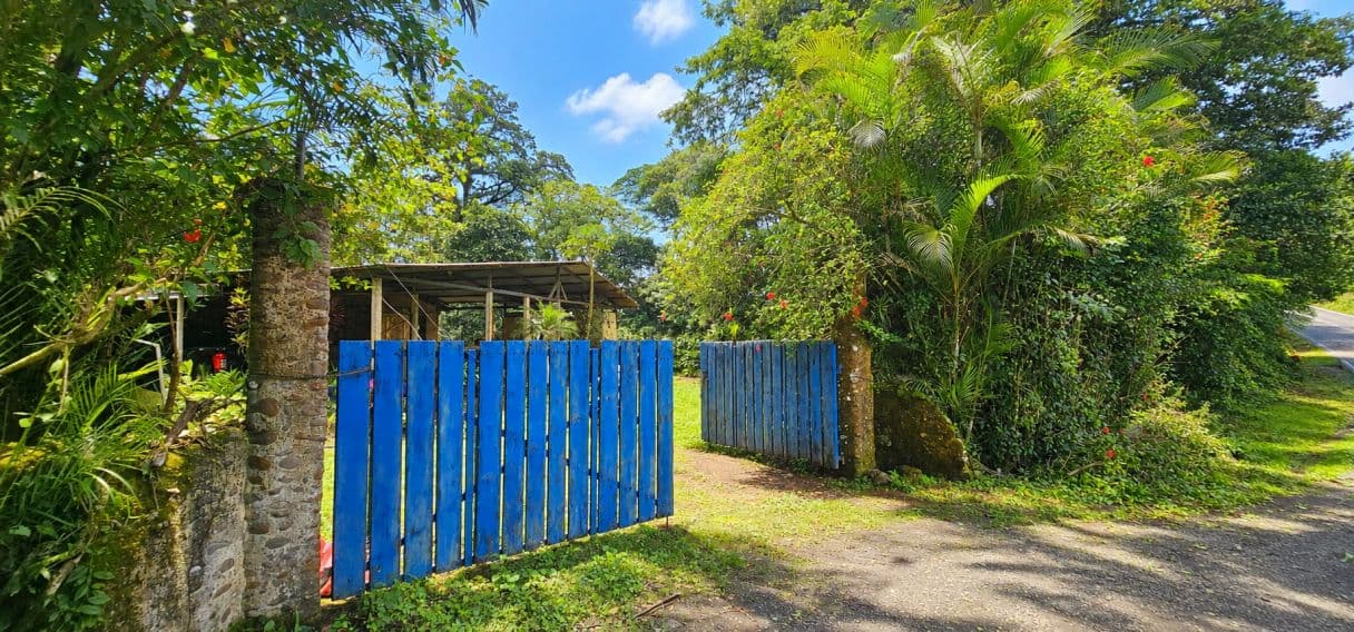 A Rare Tourism Opportunity on Costa Rica’s National Route 702, photo 3