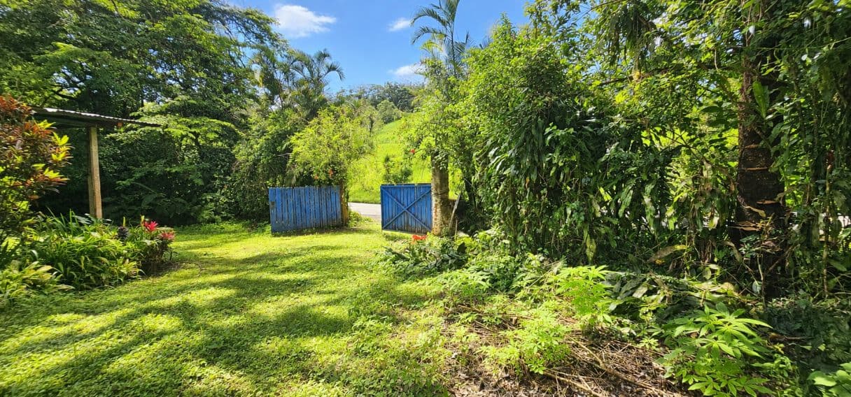A Rare Tourism Opportunity on Costa Rica’s National Route 702, photo 2